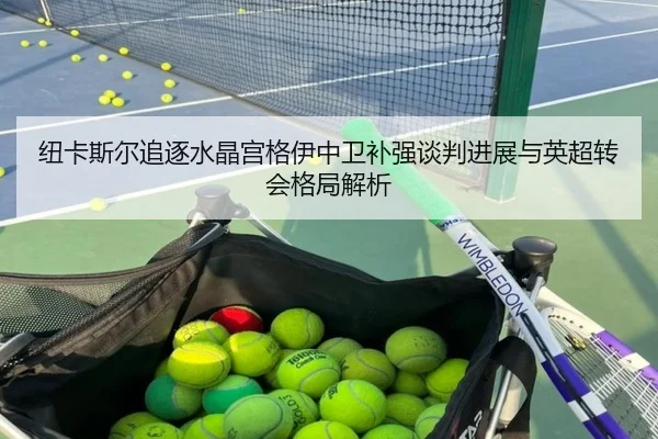 纽卡斯尔追逐水晶宫格伊中卫补强谈判进展与英超转会格局解析